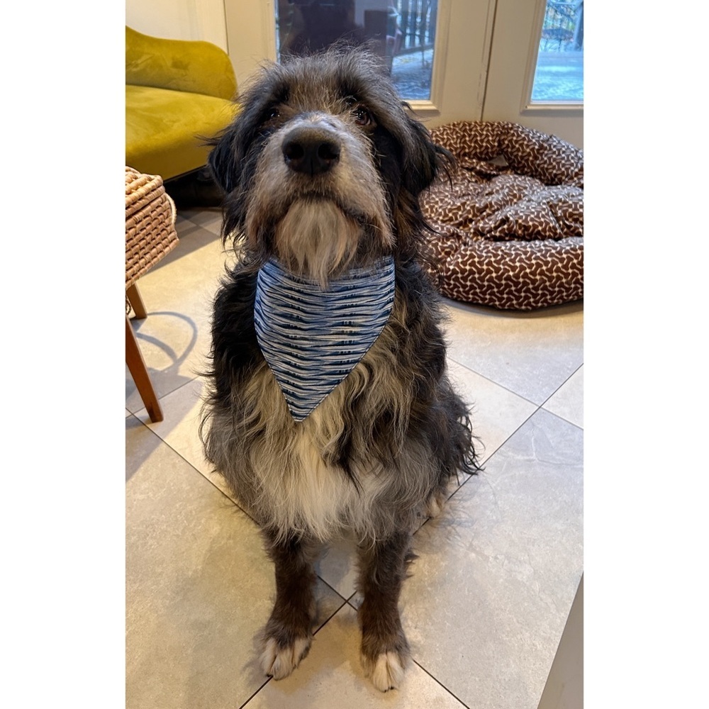 Brand New Handmade Reversible Dog Scarf & Bow Tie Size Medium